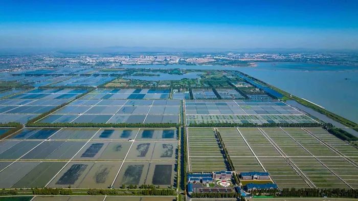 航拍高淳固城湖螃蟹核心區(qū)。高淳區(qū)融媒體中心供圖